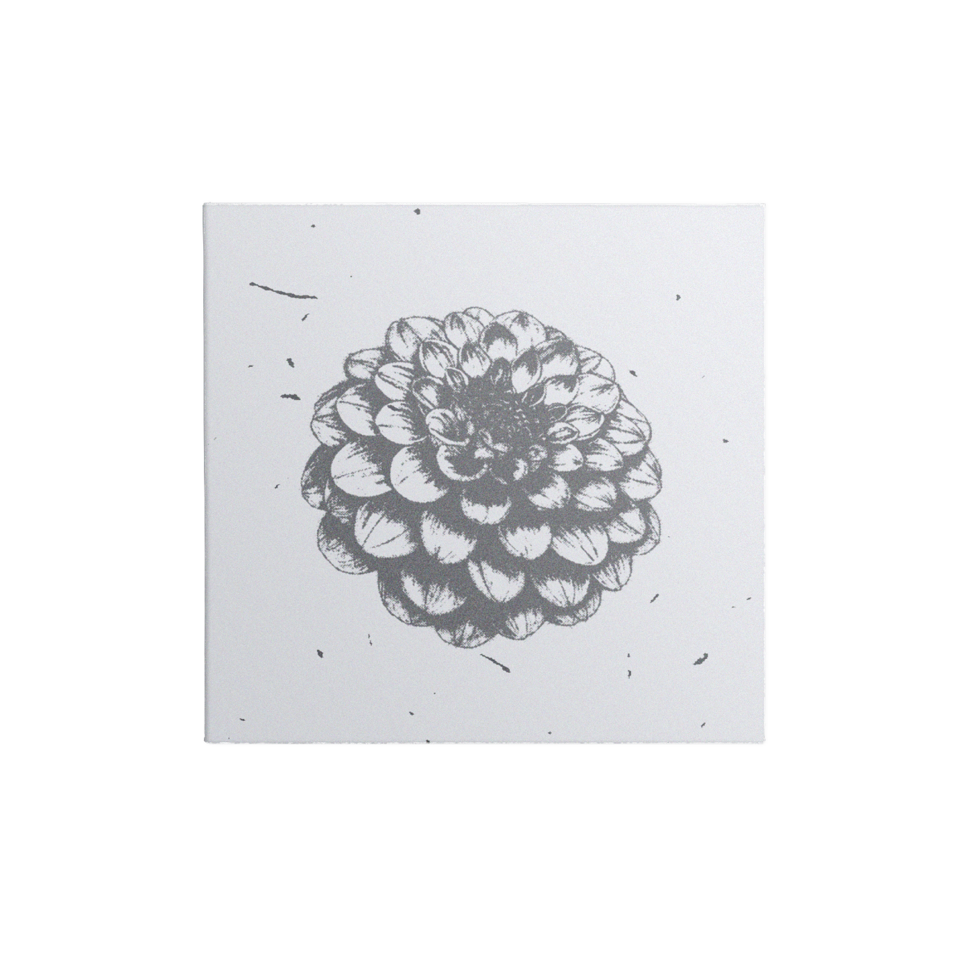 Bloom (Deluxe) CD – Breakthrough Records