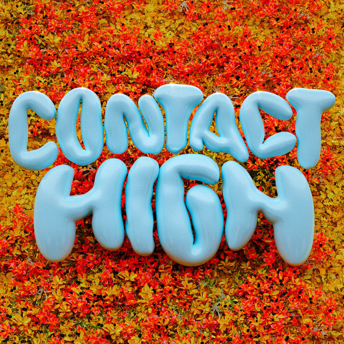 Ambleside - Contact High