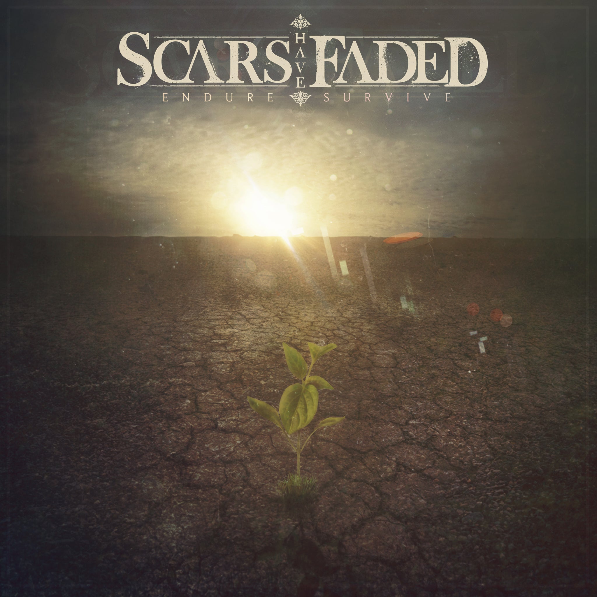 Scars Have Faded - A Collection