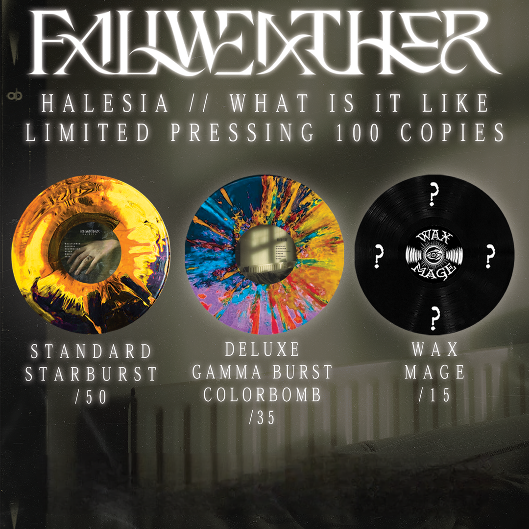 Fallweather - Halesia // What Is It Like?